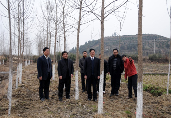 ף����Ӳ������̻���һ����С�����̽���