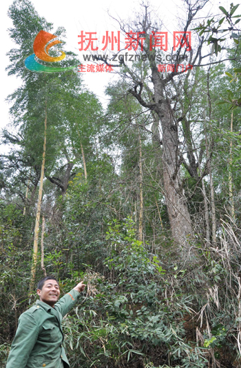 �Ϸ��������ֹ�����Ⱥ