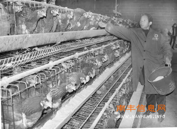 �Ϸ���������ֳת���ģ��