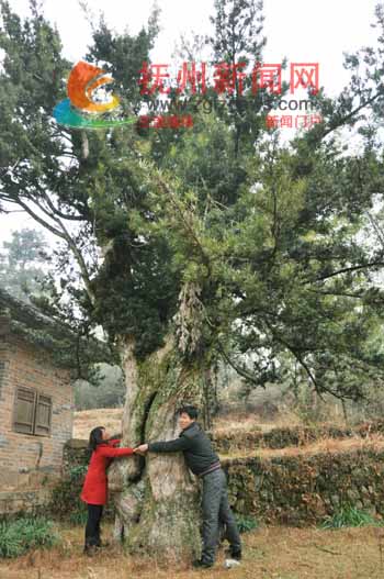 �Ϸḵ�����ֹ����޺���