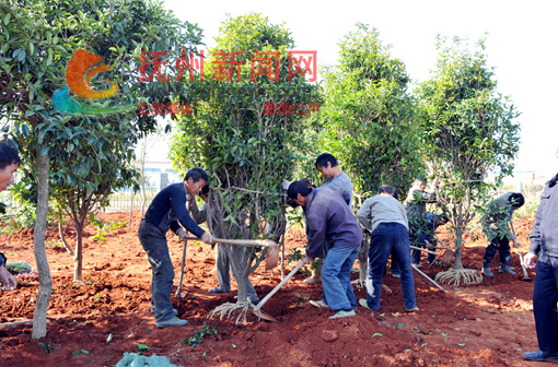 �Ϸ��������̻���Ʒ���۴�