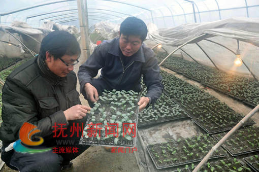 �����Ϸ���ũ��ʦ�ڸ���������߲˻���ָ��ũ������