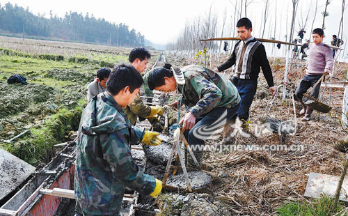 �Ϸ������������ִ�ũҵ��׼����