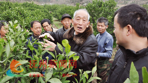 �Ϸ��ظ߼�ũ��ʦ��ɭ���У��ڸ����������������ڽ�԰������������