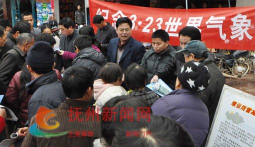 �Ϸ�������������