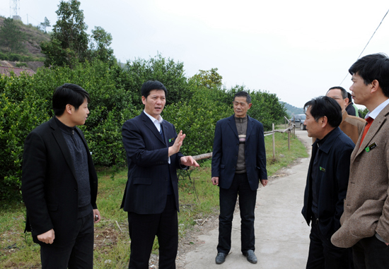 县委书记祝宏根深入一线调研旅游工作