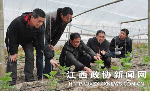 �Ϸ���ЭίԱΪ�����ֲ��¸���֧�С�