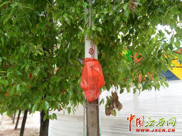 ���߲������������ϣ�ȱ����ȫ����