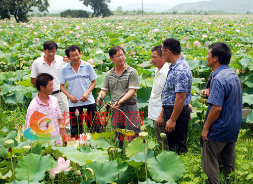 �Ϸ�����ר��Ϊ��ũ��������
