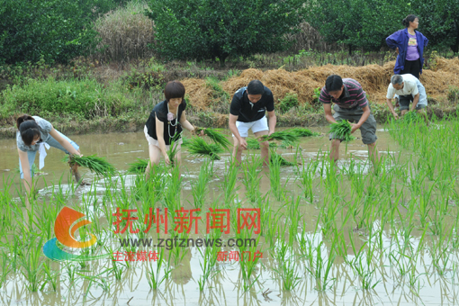 ��ɲ���̫Դ��Ϊ���ѻ�����