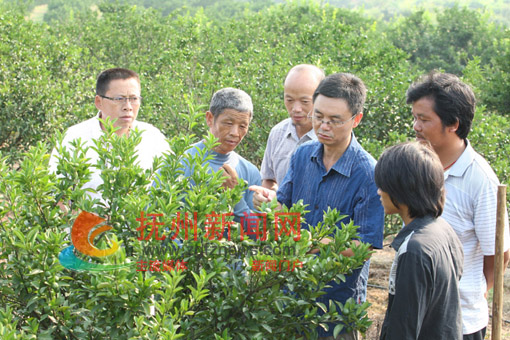 �Ϸ����۽۲�ҵ�ָ߼�ũ��ʦ�����ڽ�԰ָ��ũ�����