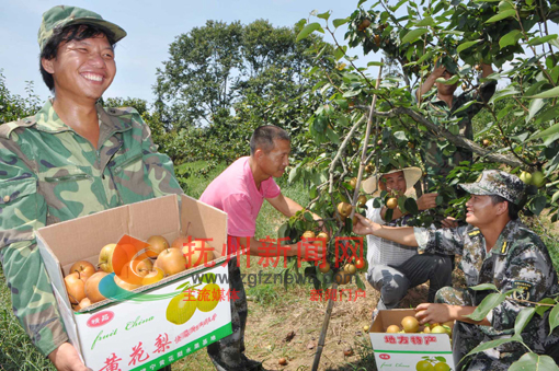 �Ϸ���̫����������ڰ�������կٵ��������ŷ����ջƻ���