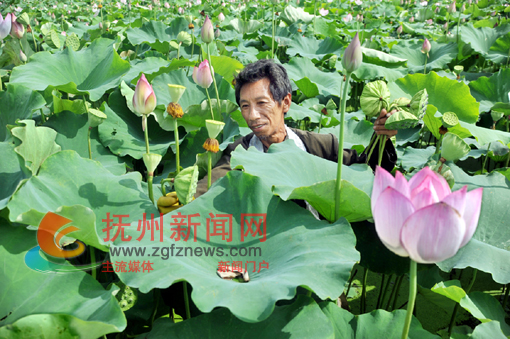 �Ϸ�̫���������ҵ��������3���Ԫ