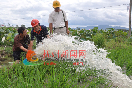 8��12��̫�͹�����Ա���ڰ���ũ���ˮ����