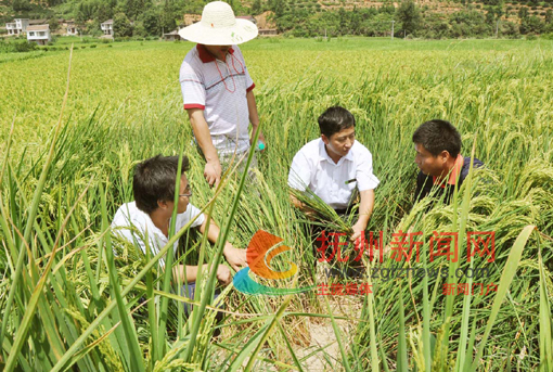 �Ϸ���̫Դ��ɲ����ڸɺ����صĶα��嵾����쿴����