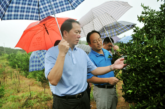 ����ΰ������Ϫ������۽۲�ҵ��չ����