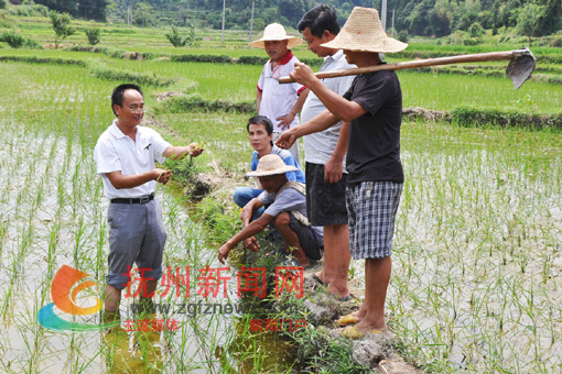 �Ϸ���̫Դ��α���ũ������������ũ��Ա����ˮ��������֪ʶ