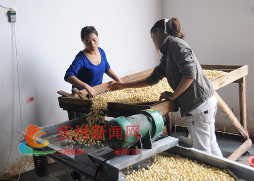 �Ϸ������ӹ�����������