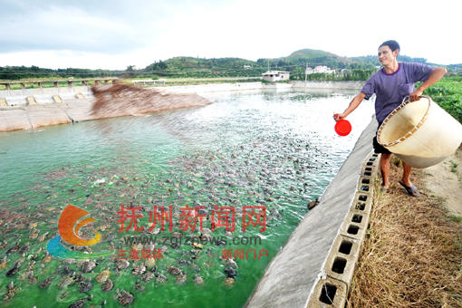 �Ϸ���̫�������רҵ������ũ��æ�Ÿ�����ι����