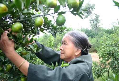 �Ϸ��۽۴���� ��ժ������ǰ��