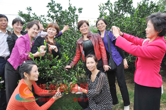 ��ʮһ���ڼ䣬�ο��ڸ���̫Դ����̬��԰��������Ӱ��