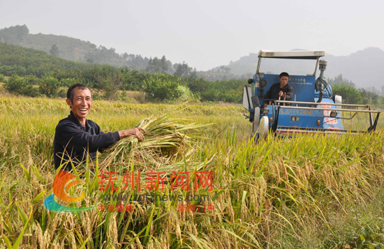 �Ϸ����ʮ���ո�æ