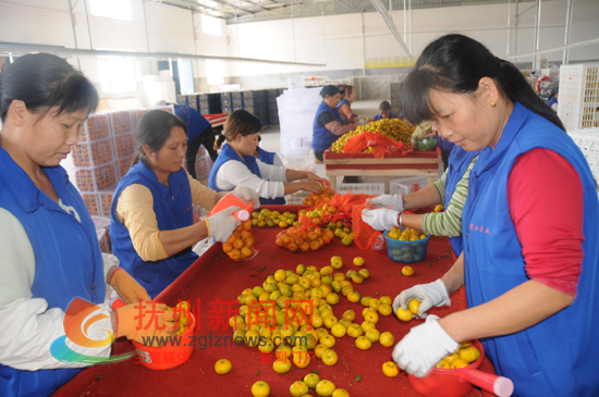 �Ϸ�ũ����ſڴ��¸�