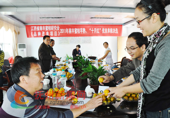 �Ϸ����۽۲�ҵ����֯ʡ����ר�Ҷԡ�ʮ�º족���������۽۾�ѡ