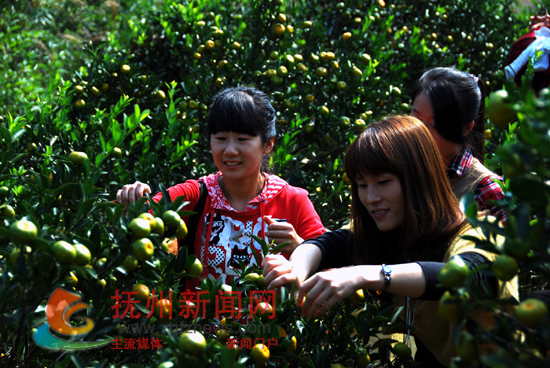 �������������ο������Ϸ������ժ�۽۵Ŀ��֣��������顣