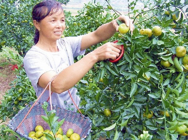 ����ũ�񵽽����Ϸᵱ�ɹ��� ����ũ����