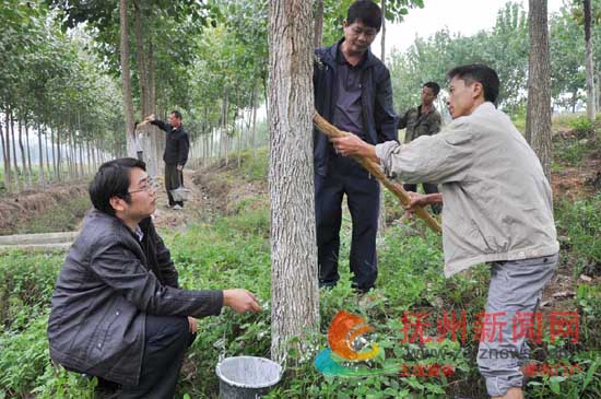 �Ϸ���ľ���ϡ������¡�