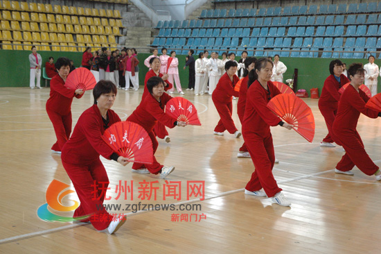 �Ϸ����2011��̫��ϵ��չʾ��