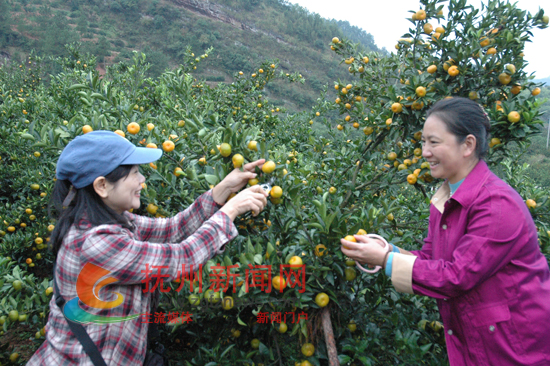 �Ϸ��۽۷���ӭ�ο�