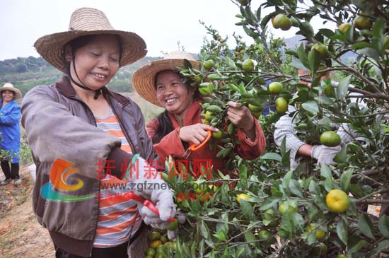 ���������ص�ũ�����Ϸ���̫��������Ϊ�۽���ֲ�󻧲�ժ�۽�