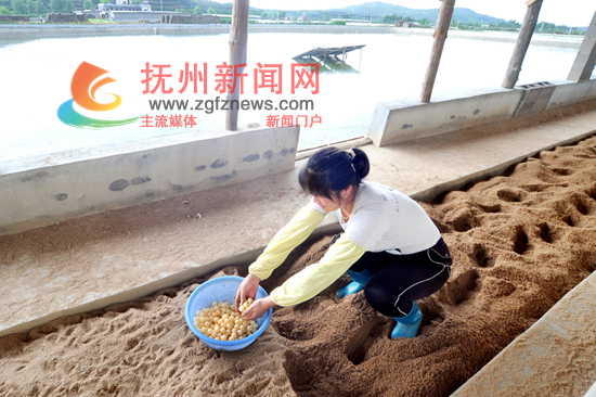 ̫����ͩ�´������ֳС��