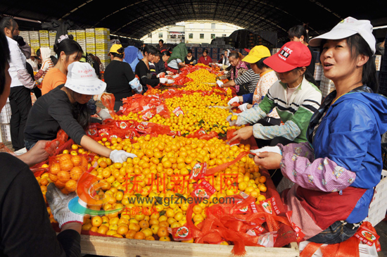 �Ϸ��۽۲�������ʷ