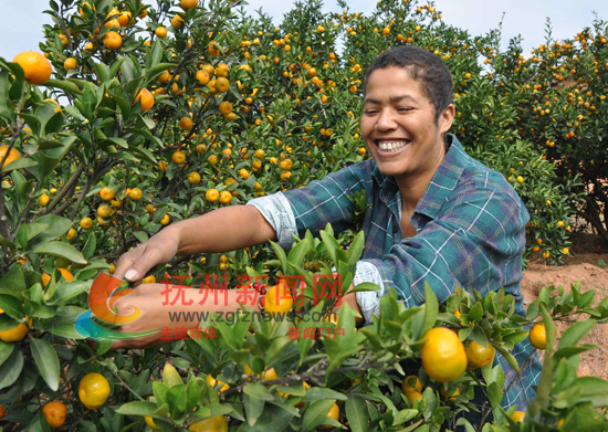 ������ʿ��Ӣ��������ر���������˹ͼ�ش��ƻ����Ŀ������Ϸ�����Ϫ��ʯ�ʴ�Ľ�԰�������ժ�۽۵Ŀ���