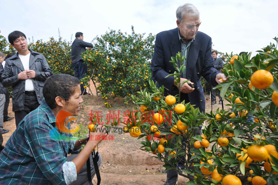 ������ʿ��Ӣ��������ر���������˹ͼ�ش��ƻ����Ŀ������Ϸ�����Ϫ��ʯ�ʴ�Ľ�԰�������ժ�۽۵Ŀ���