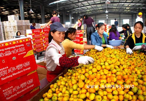 �������ĺ�