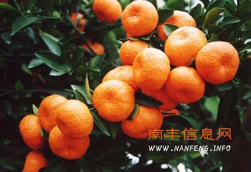 �Ϸ��۽�������