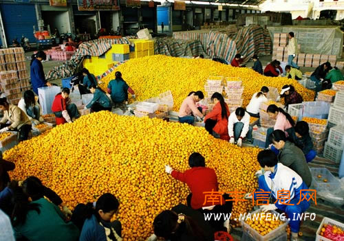 ���ٽ���