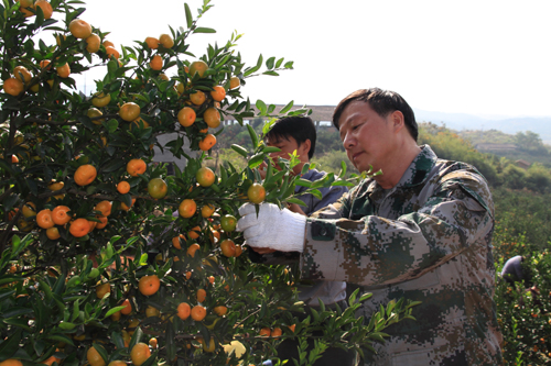 �Ϸ��ؼ�ί�����쵼�ɲ�������Ⱥ�ڲ�ժ�۽�