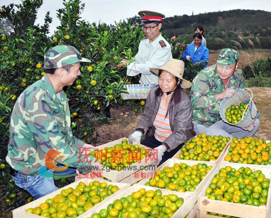 �Ϸ���̫������װ����֯��Ա�����������������������Ϸ��۽�