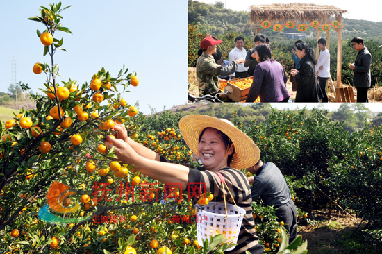 һ������ȫʡ���ص��ο����Ϸ�����ɽ������徫Ʒ�۽۲�ժ԰����������ժ�۽۵���Ȥ