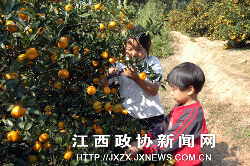 �Ϸ᣺�ж���ǰѧ�ж�