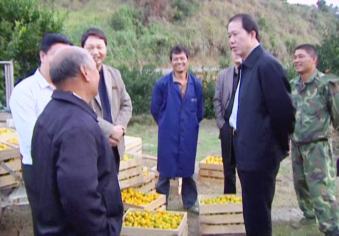 许中伟调研蜜桔销售