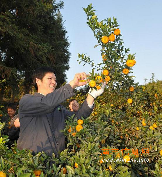 祝宏根深入太和调研“五民一促”活动