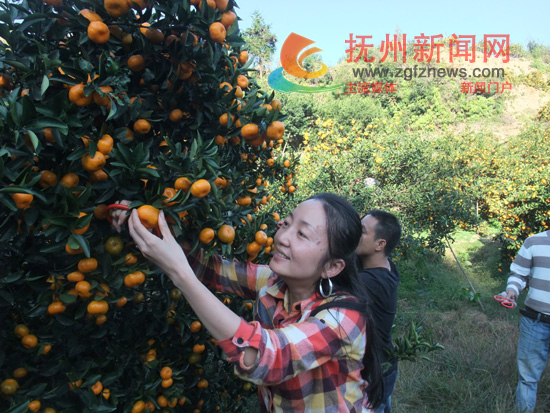 ��Դ���Ϸ��۽������ڶ��οͲ�ժ