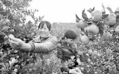 �Ϸ��ƹ������γ桢������ʼ���