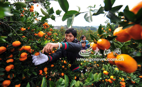 ���Ը���������������������3λͬ�����ڲ�ժ����